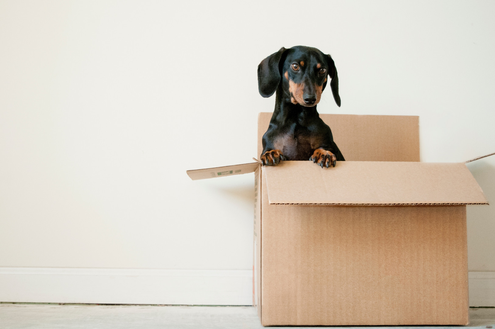 Step 8: Home Moving Tips